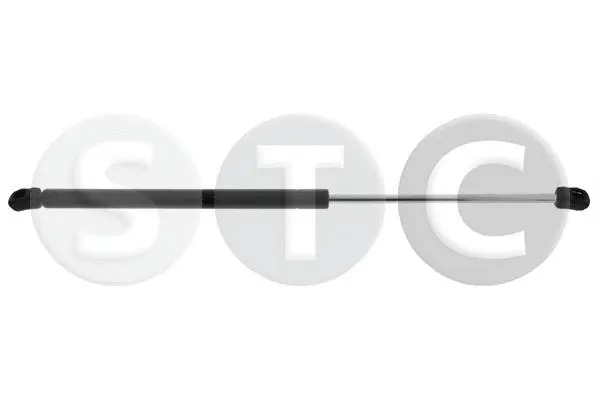 Gas Spring, boot/cargo area (T446186)