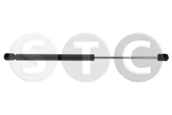 Gas Spring, boot/cargo area (T446207)