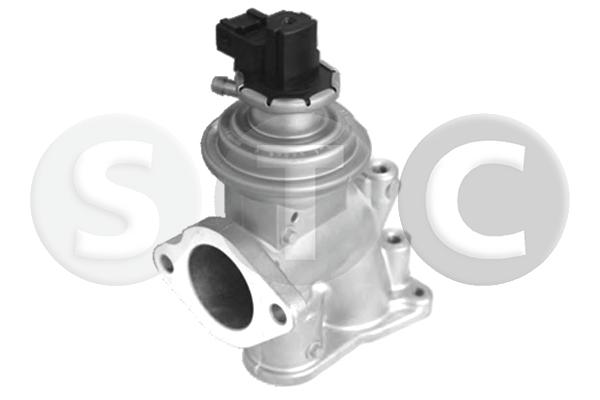 EGR Valve (T493237)