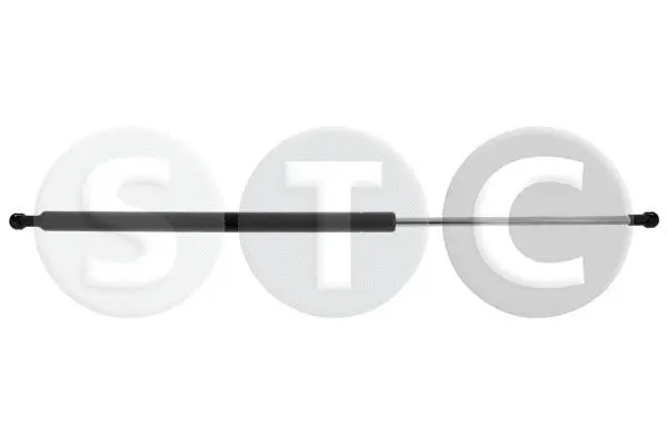 Gas Spring, boot/cargo area (T446496)