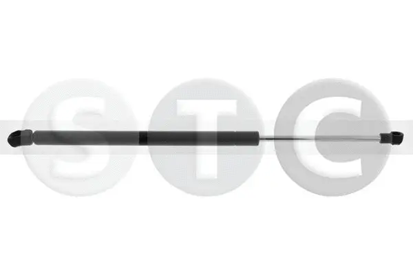 Gas Spring, boot/cargo area (T446714)