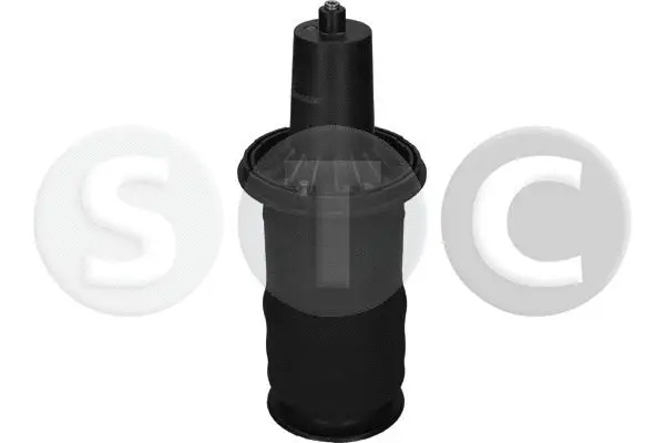 Air Spring, suspension