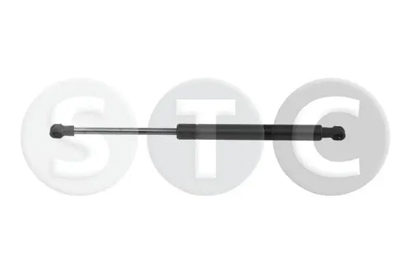 Gas Spring, bonnet (T446157)
