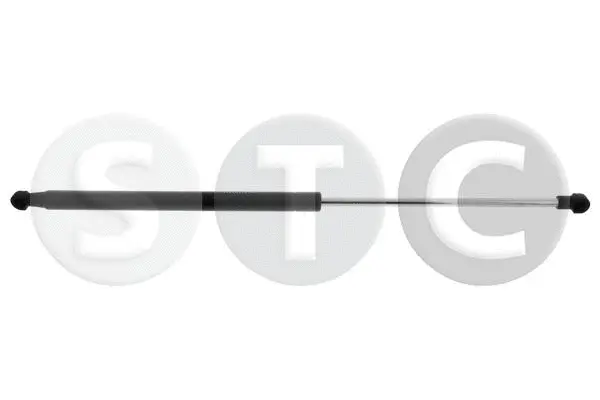 Gas Spring, boot/cargo area (T446765)