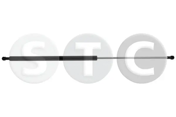 Gas Spring, boot/cargo area (T446176)