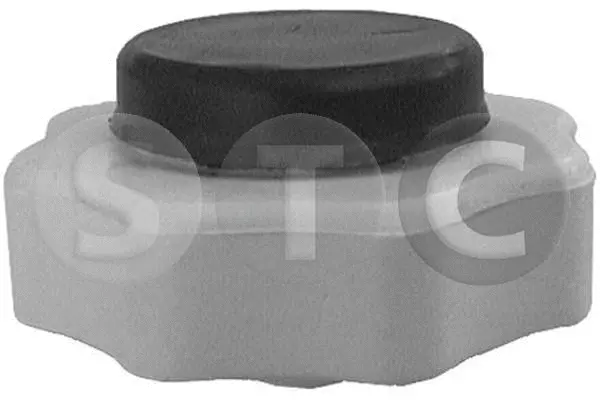 Cap, coolant tank (T403525)