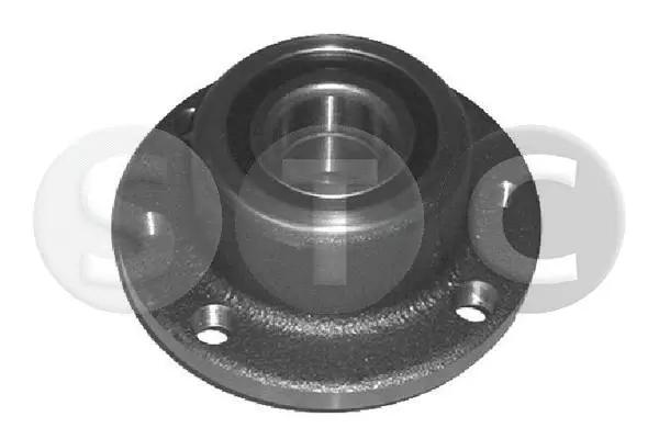 Wheel Hub (T490508)
