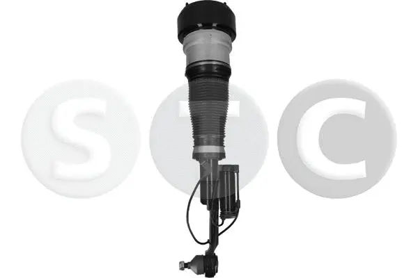 Air Suspension Strut (T442929)