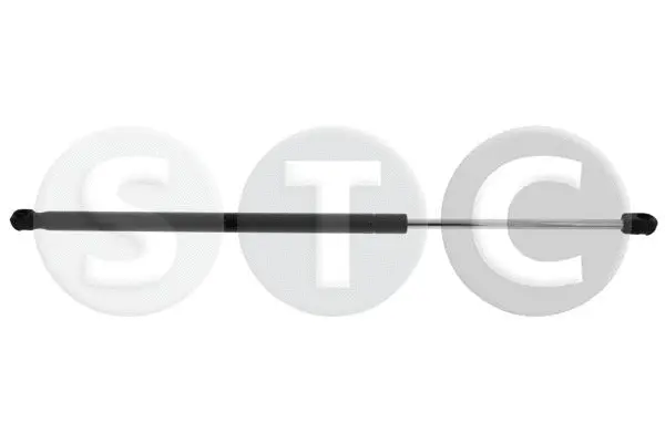 Gas Spring, boot/cargo area (T446376)