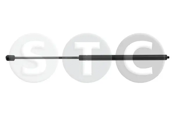 Gas Spring, bonnet (T446248)