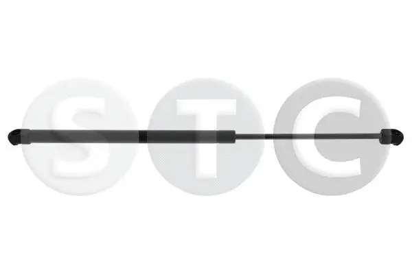 Gas Spring, rear window (T446715)