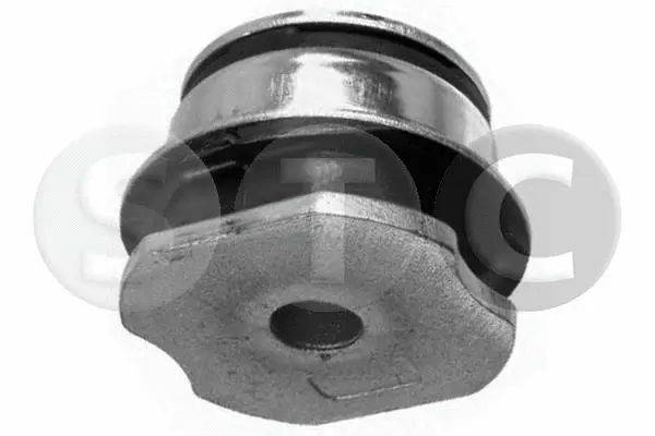 Bushing, axle beam (T404372)