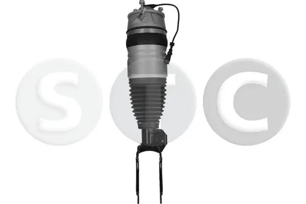 Air Suspension Strut (T442925)