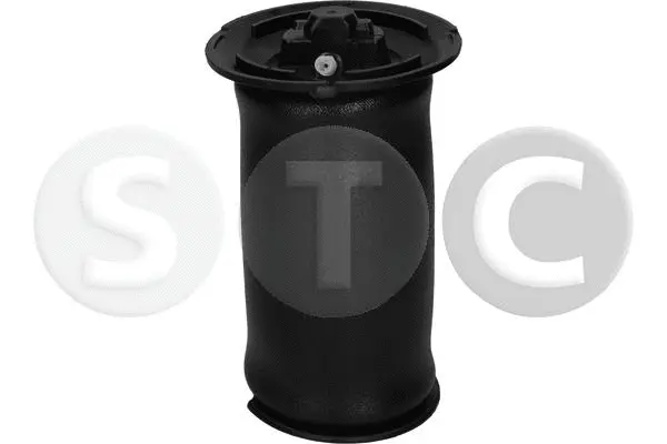 Air Spring, suspension (T442955)