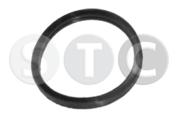 Seal, thermostat (T402351)