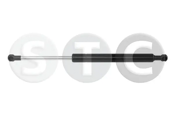 Gas Spring, boot/cargo area (T446777)