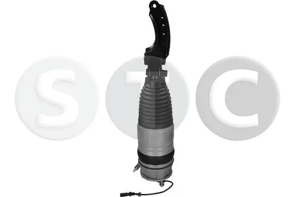 Air Suspension Strut