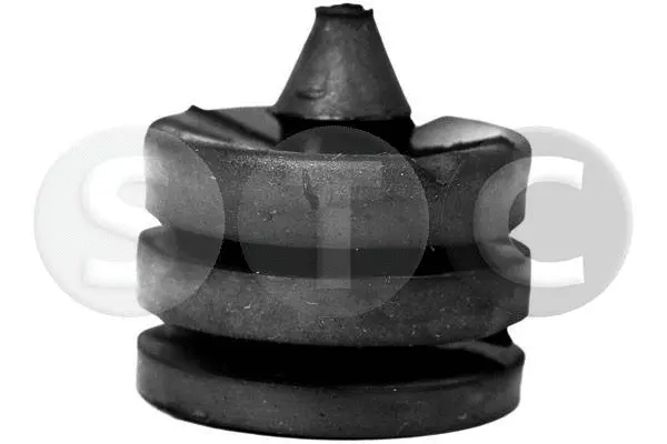 Mount, exhaust system (T441055)