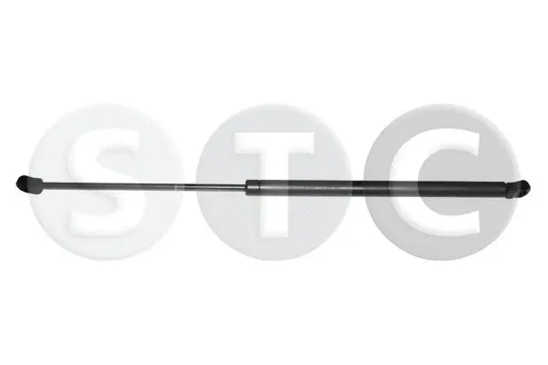 Gas Spring, boot/cargo area (T446369)