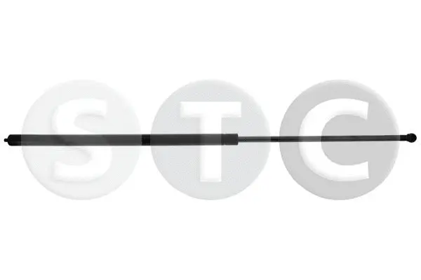 Gas Spring, boot/cargo area (T446621)