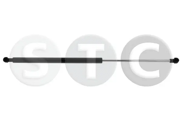 Gas Spring, boot/cargo area (T446760)