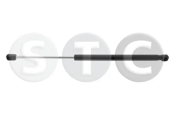 Gas Spring, boot/cargo area (T446142)