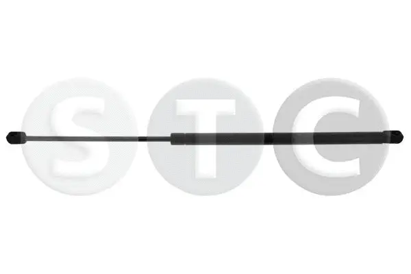 Gas Spring, boot/cargo area (T446583)