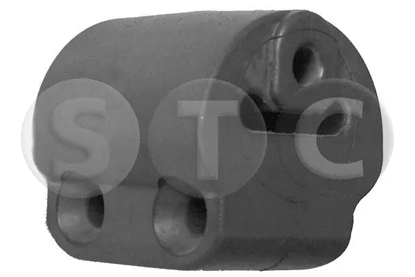Mount, exhaust system (T441083)