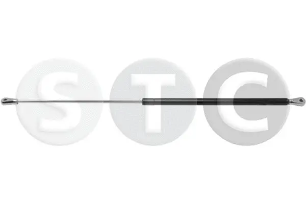 Gas Spring, bonnet (T446210)