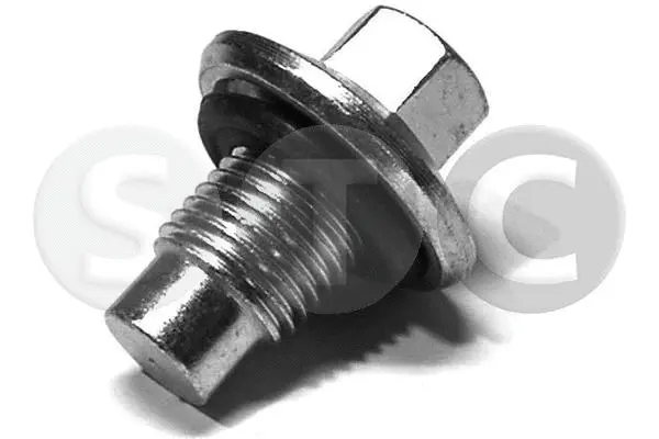 Screw Plug, oil sump (T402903)