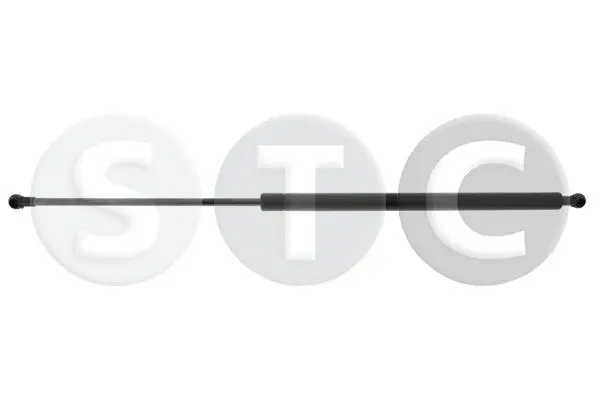 Gas Spring, boot/cargo area (T446661)