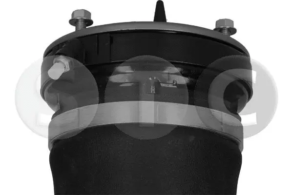 Air Suspension Strut
