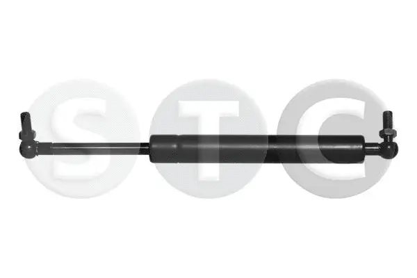 Gas Spring, boot/cargo area (T446825)