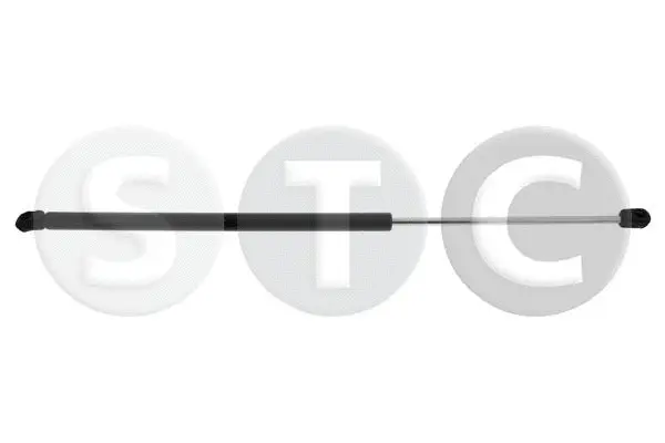 Gas Spring, boot/cargo area (T446222)
