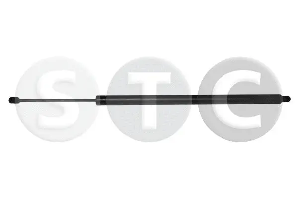 Gas Spring, boot/cargo area (T446713)