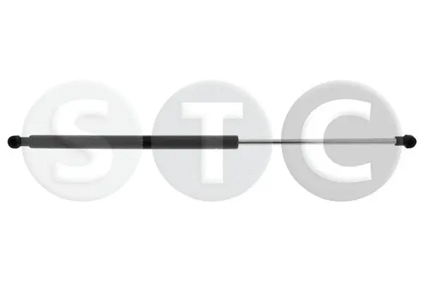 Gas Spring, rear window (T446255)
