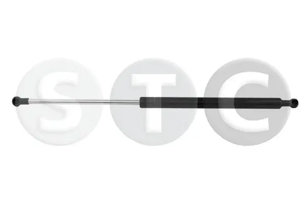 Gas Spring, bonnet (T446811)