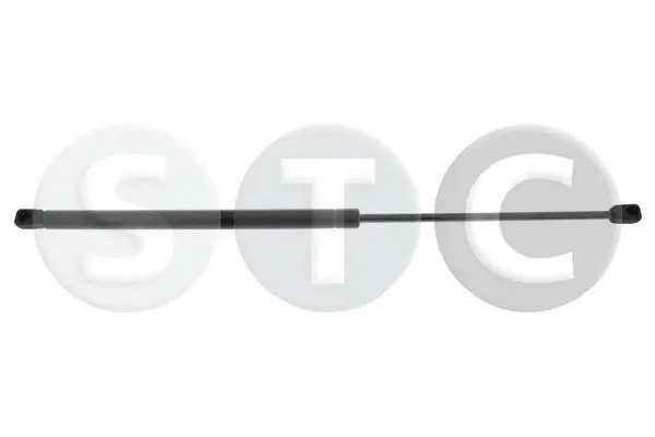 Gas Spring, boot/cargo area (T446417)