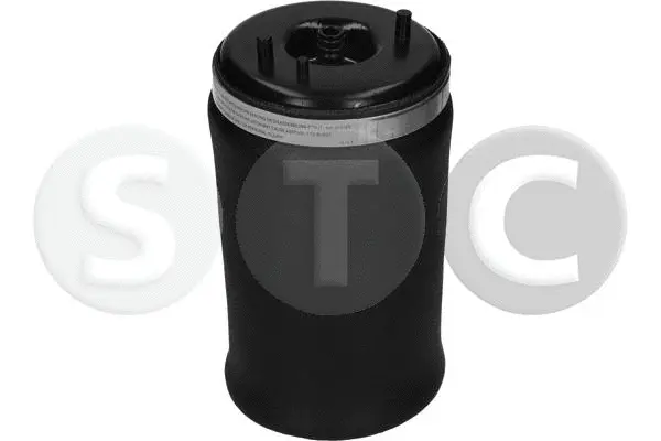 Air Spring, suspension