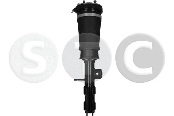 Air Suspension Strut (T442903)