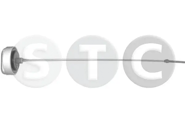 Oil Dipstick (T403771)