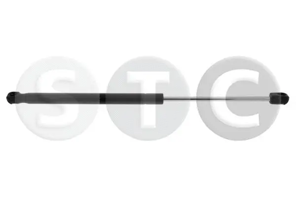Gas Spring, boot/cargo area (T446671)