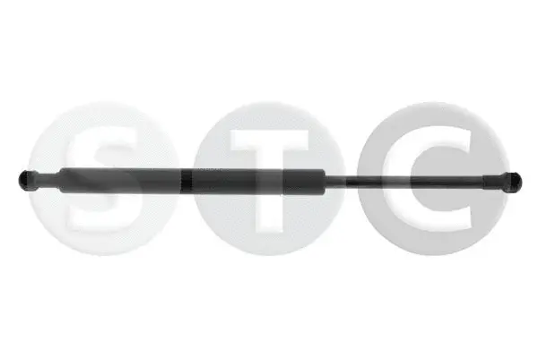 Gas Spring, bonnet (T446726)