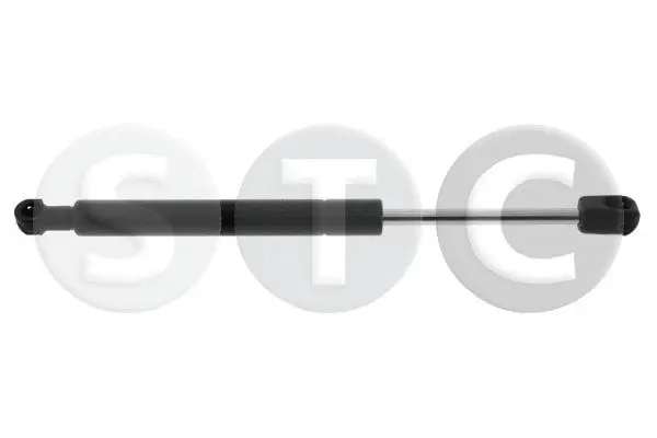 Gas Spring, bonnet (T446332)