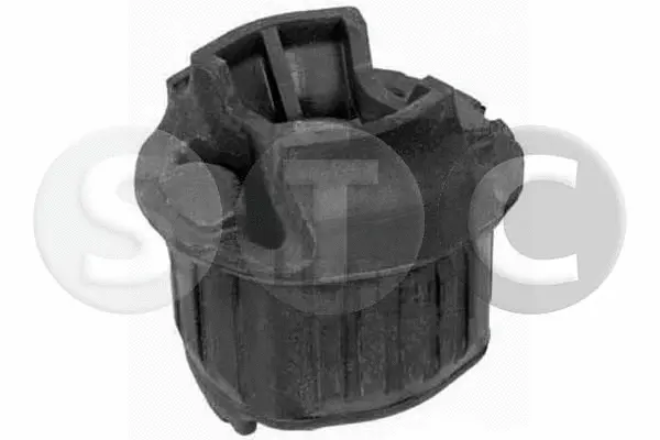 Bushing, axle beam (T406083)