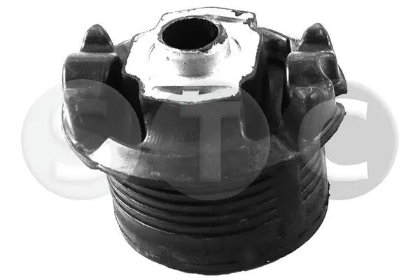 Bushing, axle beam (T458403)