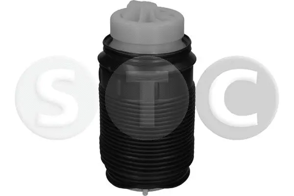 Air Spring, suspension (T442961)