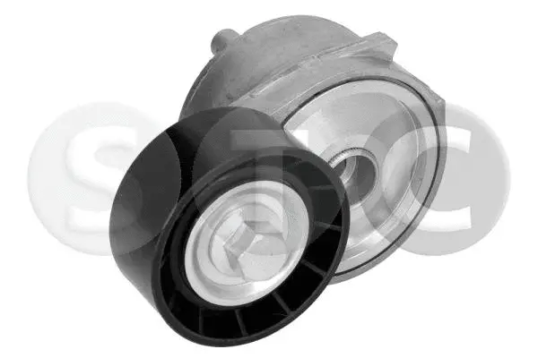 Tensioner Lever, V-ribbed belt (T447334)