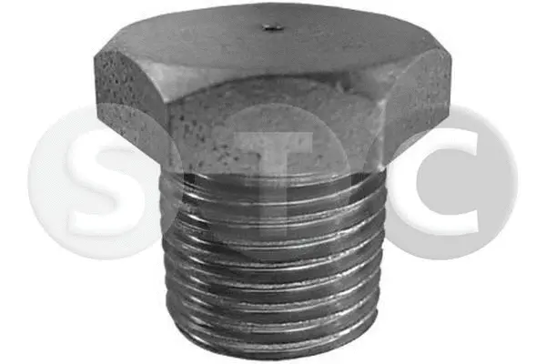 Screw Plug, oil sump (T400677)