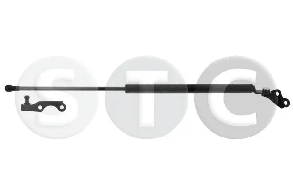 Gas Spring, boot/cargo area (T446432)